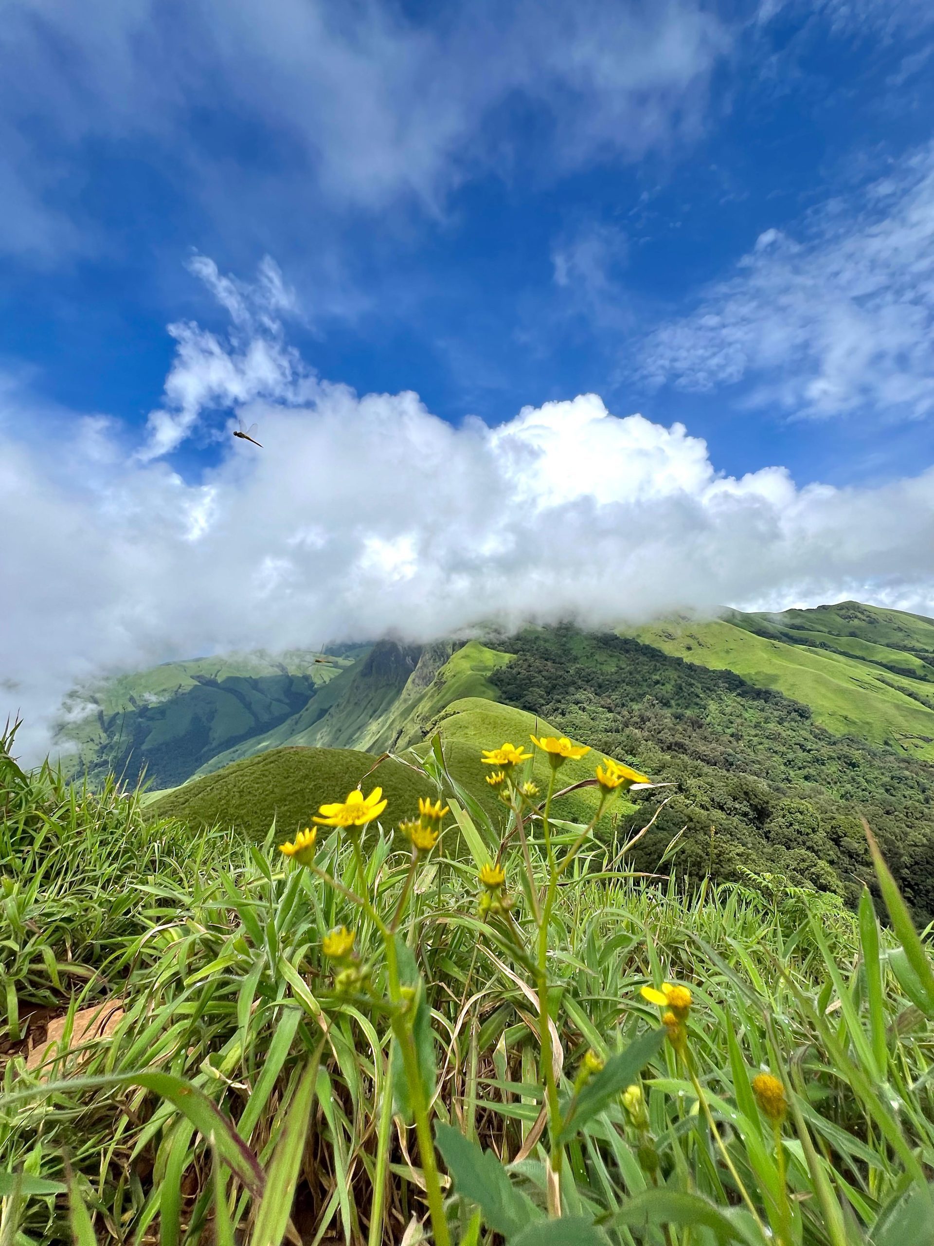 Netravati Peak Trek Chikmagalur