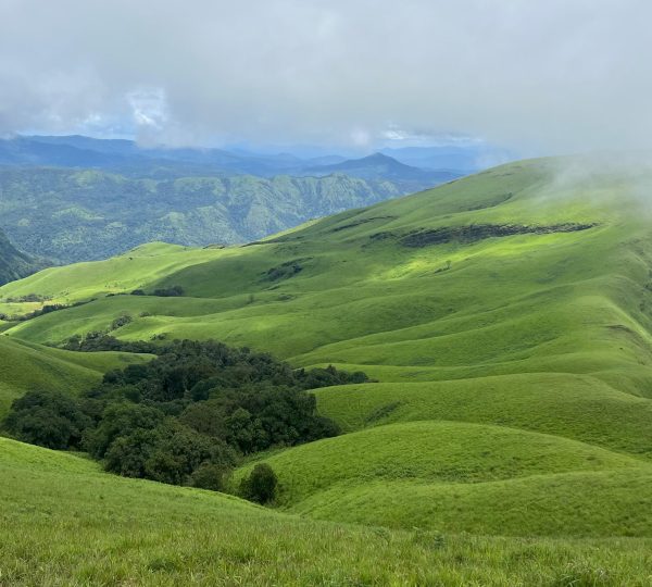 Netravati Peak Trek Chikmagalur