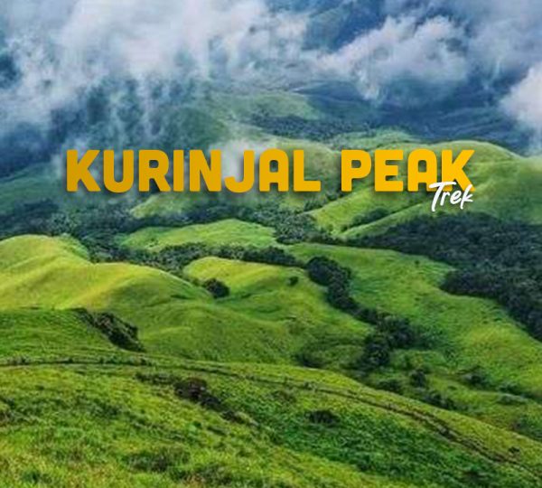 Kurinjal Peak Trek Chikmagalur