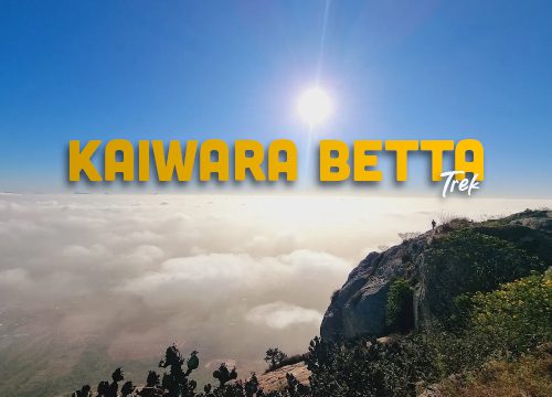 Kaiwara Betta Trek
