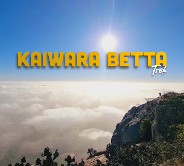 Kaiwara Betta Trek
