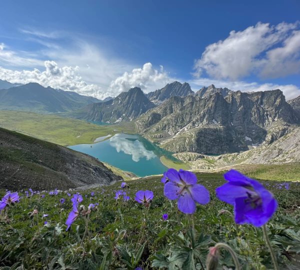 Kashmir Great Lakes Trek